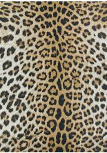 Couristan DOLCE POWER-LOOMED 100% Polypropylene,Synthetic AMUR LEOPARD